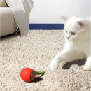 Bolinha Pet Com Rolamento Automático Train
